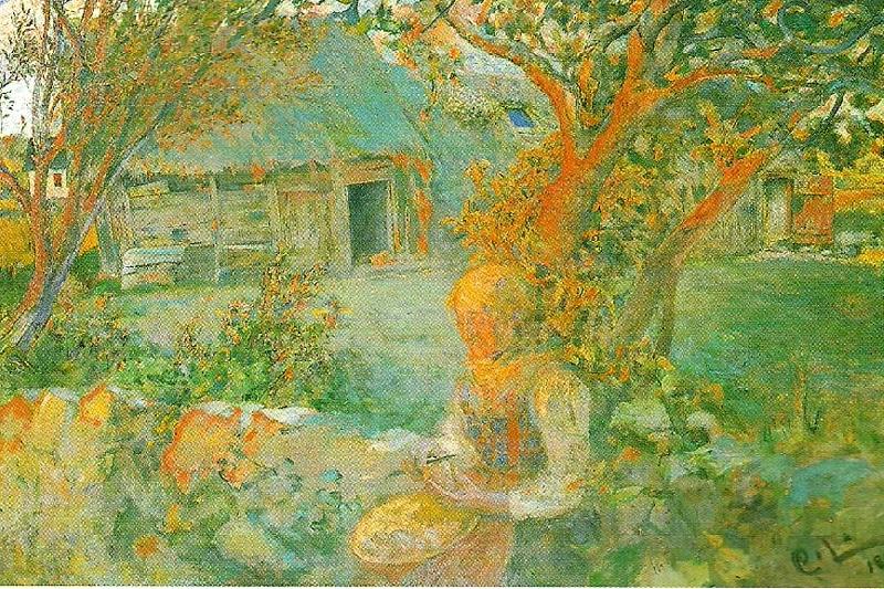 de sista solstralarna, Carl Larsson